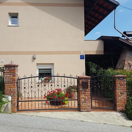 Apartmani Tuheljske 图赫尔斯克利普利采 外观 照片